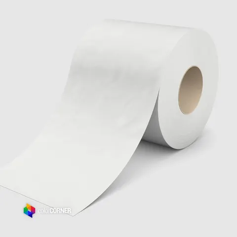 Papier w roli RAUCH Drylab Gloss 250 g/m2 - 102mm x 65m / 2 rolki