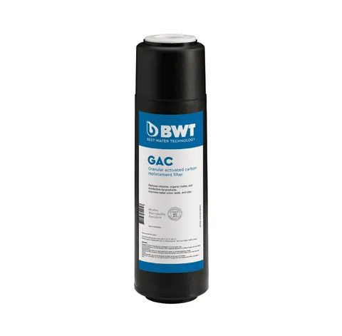 BWT GAC 2.5" x 10" filtr węglowy