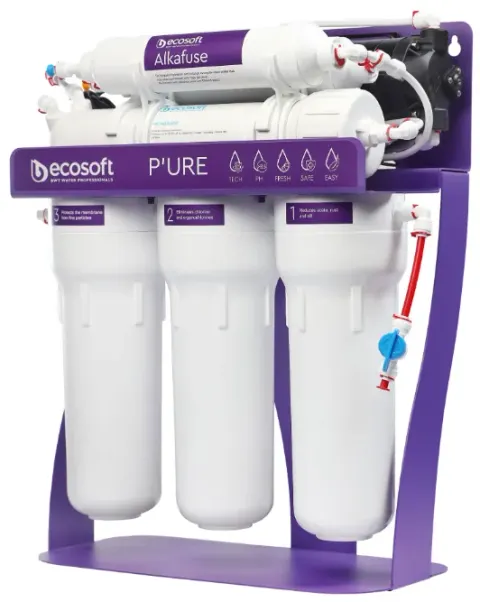 Ecosoft BWT Pure Alkafuse filtr do wody z pompą, na metalowym stojaku