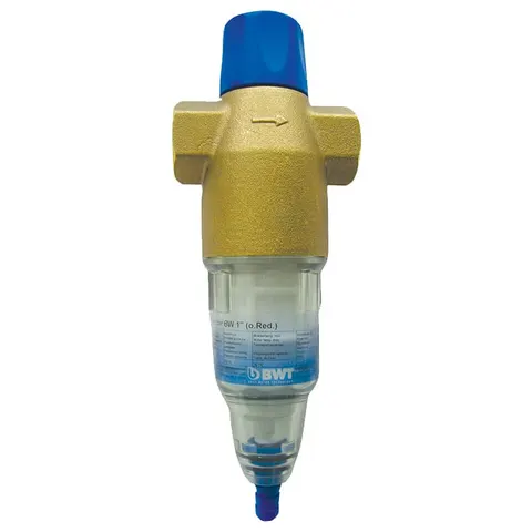 BWT Protector BW 3/4" filtr wstępny