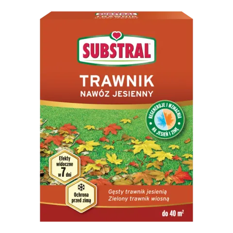 Nawóz jesienny Substral 60 dni do trawnika 1kg