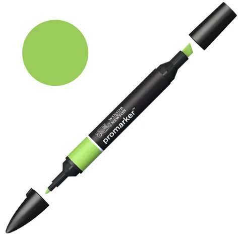 Marker Promarker Winsor & Newton - G258 Leaf green