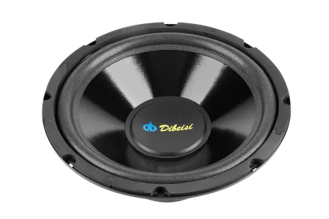 Głośnik montażowy 10" Dibeisi