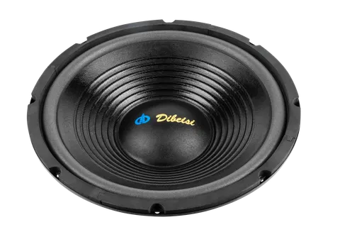 Głośnik montażowy 12" Dibeisi