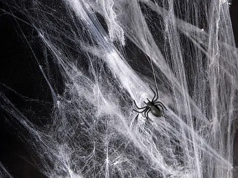 Sztuczna pajęczyna biała na Halloween 60 g