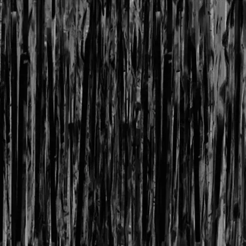 Kurtyna imprezowa czarna 100 cm x 250 cm