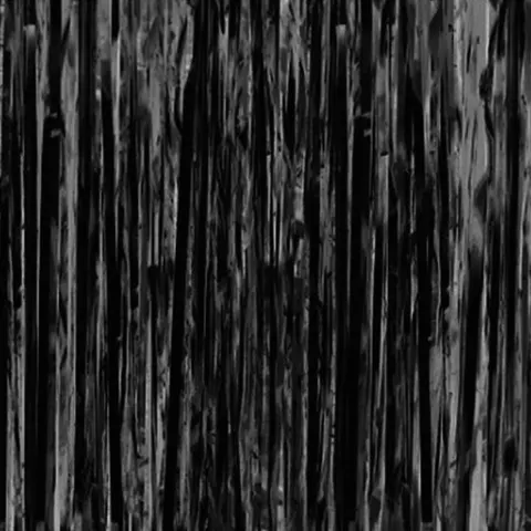 Kurtyna imprezowa czarna 100 cm x 200 cm