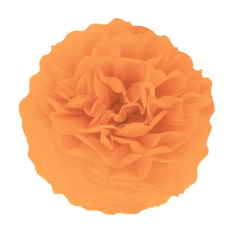 Pompon bibułowy pomarańczowy 35 cm