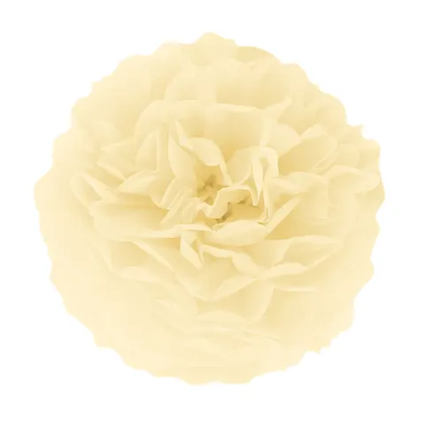 Pompon bibułowy kremowy 25 cm