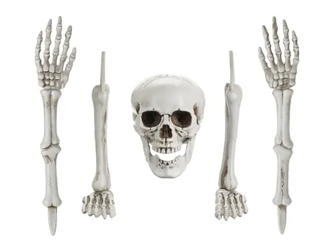 Dekoracja Kościotrup na Halloween
