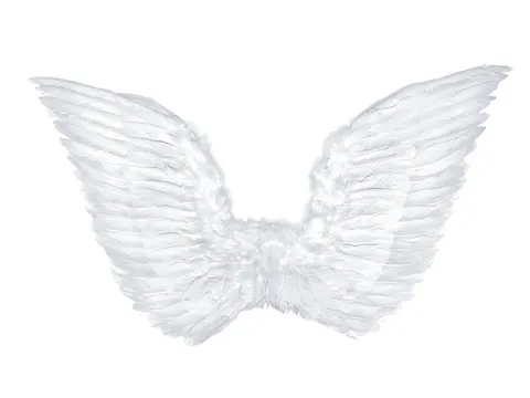 Skrzydła anioła białe 75 x 45 cm