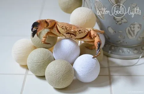 Zestaw lampek Cotton Balls White Glow