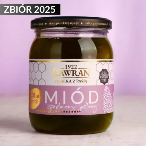 Miód spadziowy iglasty jodłowy prosto z wirówki 650g