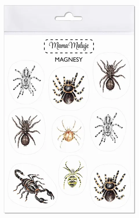 Magnesy Pajęczaki
