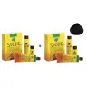 [Zestaw] Sanotint Light Farba do włosów - 71 Black (Czarny) x2