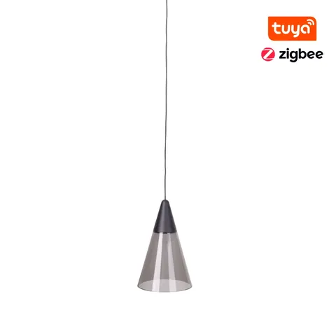 Maxlight Magnetic M0015Z Lampa Wisząca Magnetyczna System Zigbee 6W 363 LM 2700/5000K