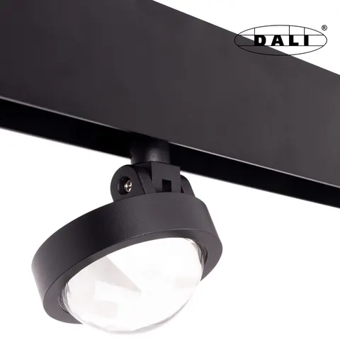 Maxlight Magnetic M0018D Reflektor Magnetyczny System Dali 8W 767 LM 3000K