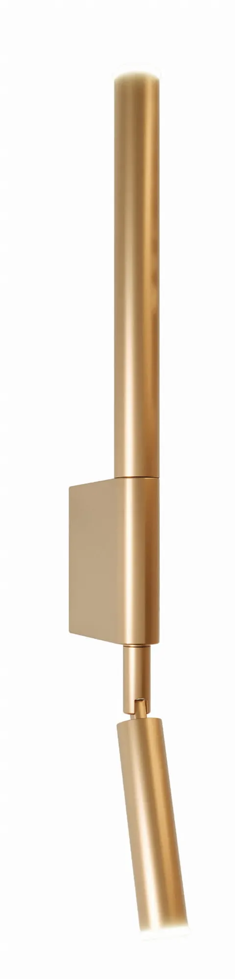Maxlight W0341 Kinkiet Organic Złoto Szczotkowane