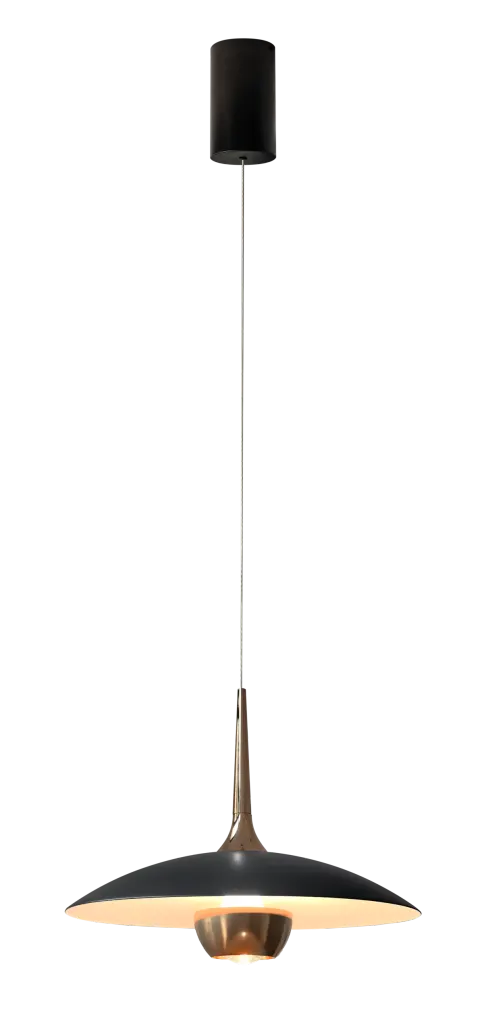 Maxlight P0676 Lampa Wisząca Manuka 12W