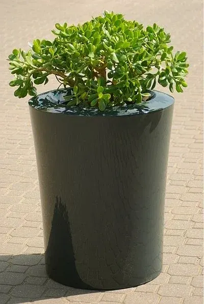 Donica GARAFIA M