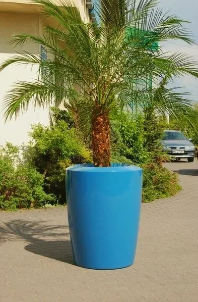 Donica ANAKENA L