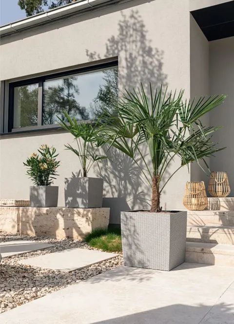 Donica CUBE Cottage 50