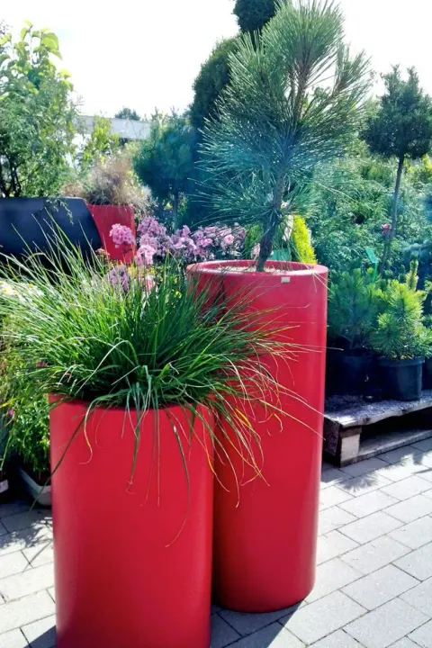Donica tuba Hebe