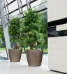 Donica Lechuza Classico Premium 60