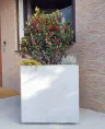 Donica betonowa 100x100x50 cm (h)