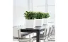 Nowoczesna donica Lechuza Cube Premium 30