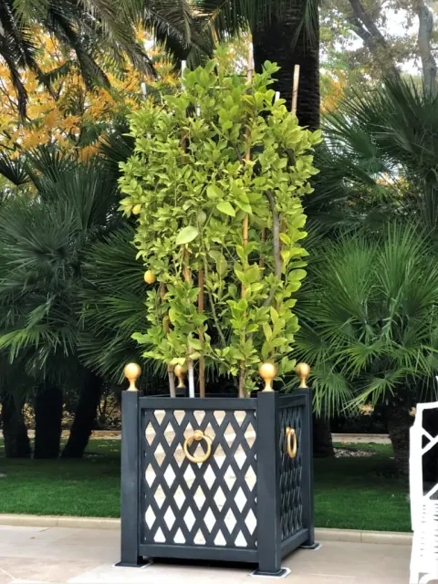 Ozdobna donica aluminiowa Bordeaux z kulkami