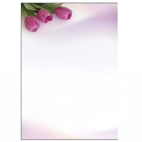 Karton Na Dyplomy A4 Fanfan 233010
