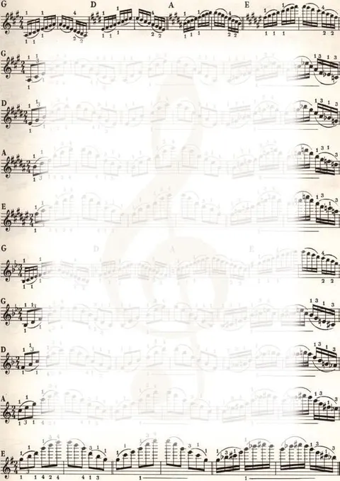 Galeria Papieru Dyplom NUTY 170g/m2 (25 szt)