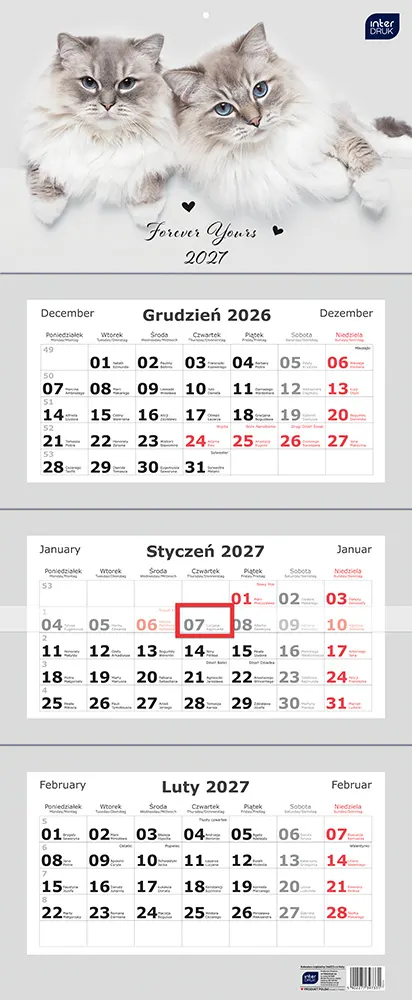 Kalendarz ścienny trójdzielny 82,5x34cm koty Interdruk 2027