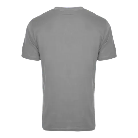 Koszulka t-shirt bawełniana szara S