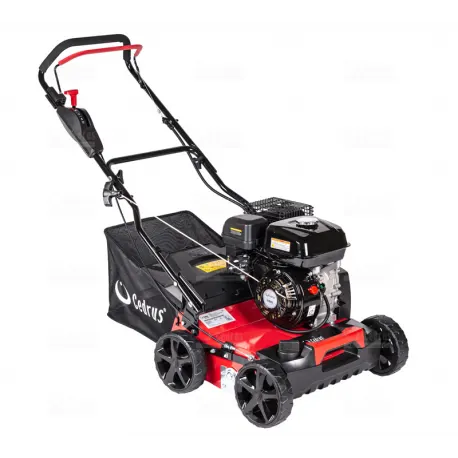 Wertykulator spalinowy Cedrus WR01 2w1