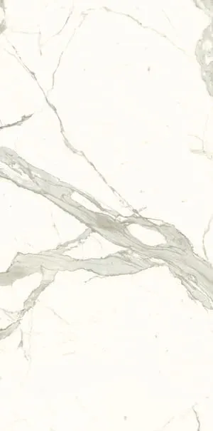 ARIOSTEA ULTRA – BIANCO CALACATTA NATURAL 120 x 120