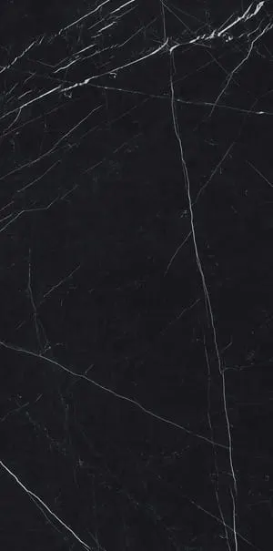 ARIOSTEA ULTRA – NERO MARQUINIA SILKY 120 x 120
