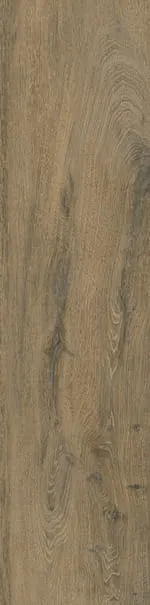 ARIOSTEA Legni High-Tech - ROVERE BAIO 120 x 20 cm