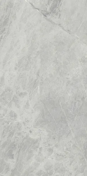 ARIOSTEA ULTRA MARMI - GRIS DE SAVOIE POLISHED 150 x 75 cm