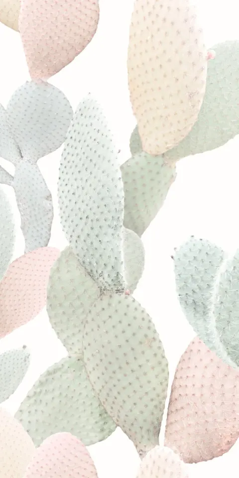 41ZERO42 Paper41 Pro Marcela 100 x 50 cm