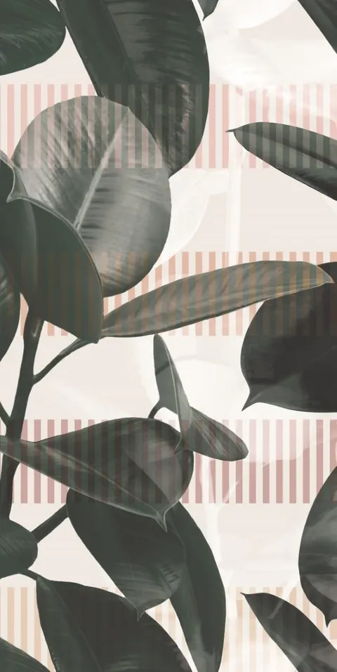 41ZERO42 Paper41 Pro Paper41 Olivia 100 x 50 cm