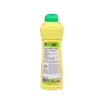 ECO SHINE MILK MLECZKO DO CZYSZCZENIA 500 ML