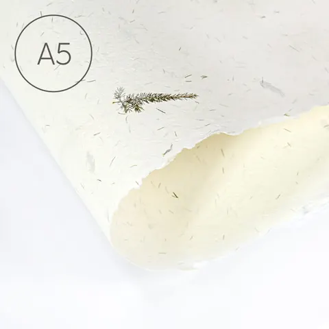 Papier czerpany gładki A5 - Asparagus