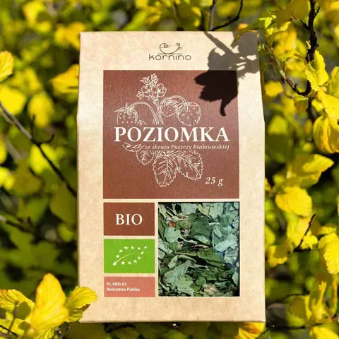 POZIOMKA KORNINO 25G