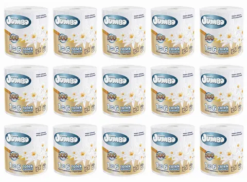Ręcznik papierowy 1R SŁONIK JUMBO MAXI 300 list 2W - 15 szt.