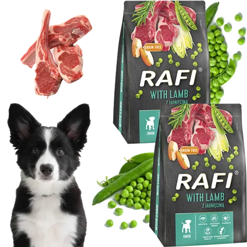 Sucha Karma Dla Psa RAFI JUNIOR z Jagnięciną 3 kg - 2 szt.