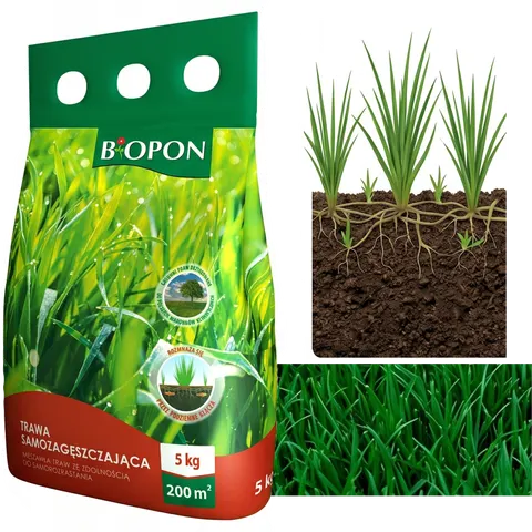 BOPON - Trawa Samozagęszczająca 200 m² - 5 kg