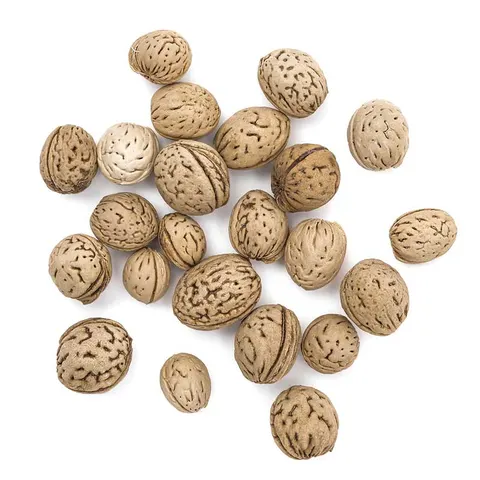 Suszone orzechy carya dpCraft - 40g