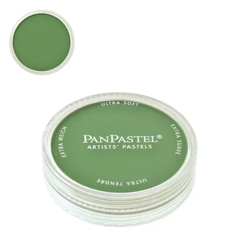 Pastela sucha PanPastel 9 ml - Chromium Oxide Green 660.5